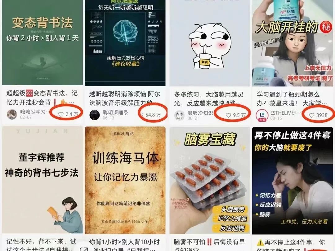 提升记忆力项目，操作简单，一单利润19.92910 作者:福缘资源库 帖子ID:103716 